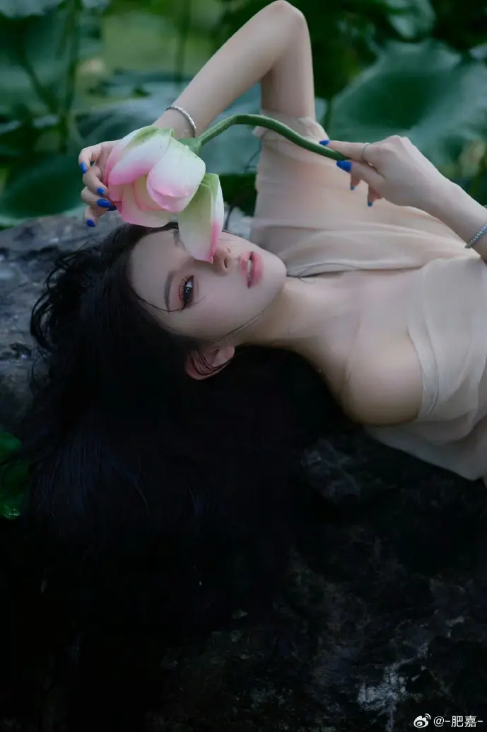 宅宅网作者后台数据分析界面